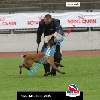 IMG_9437 (2)
